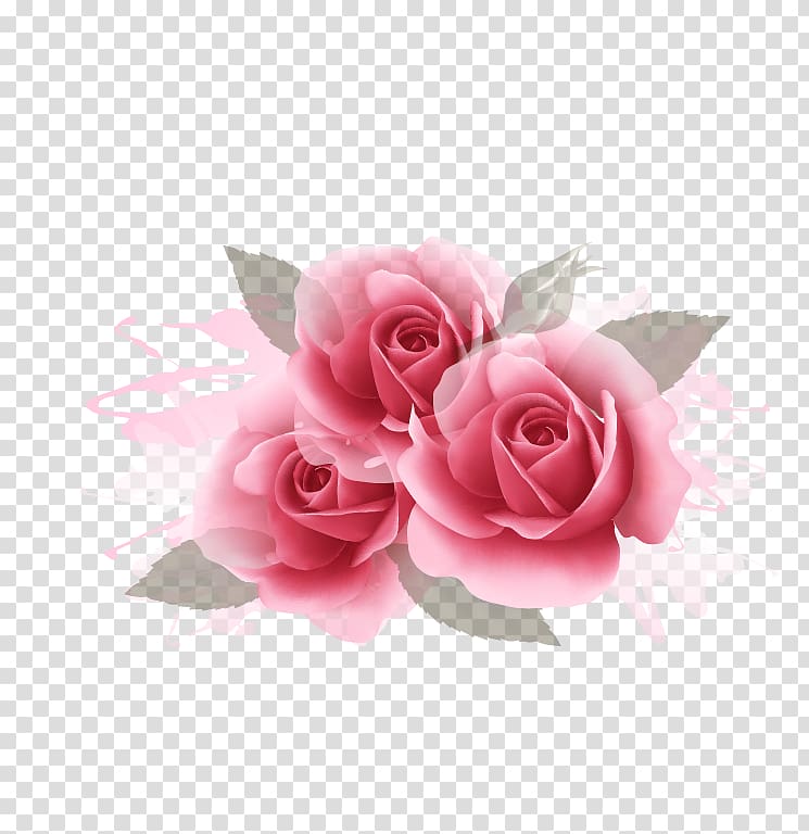 three pink flowers, Rose Web banner Pink, Pink Rose Flower transparent background PNG clipart