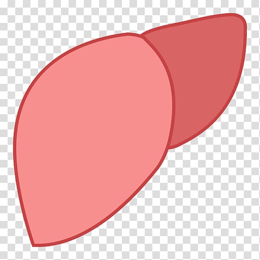 Computer Icons Organ Stomach Digestion, liver transparent background PNG clipart