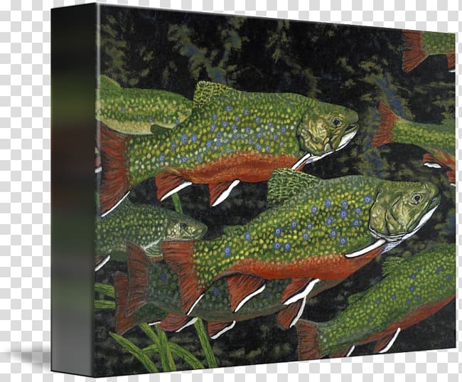 Fish Rainbow trout Brook trout Salmon, fish water painting transparent background PNG clipart