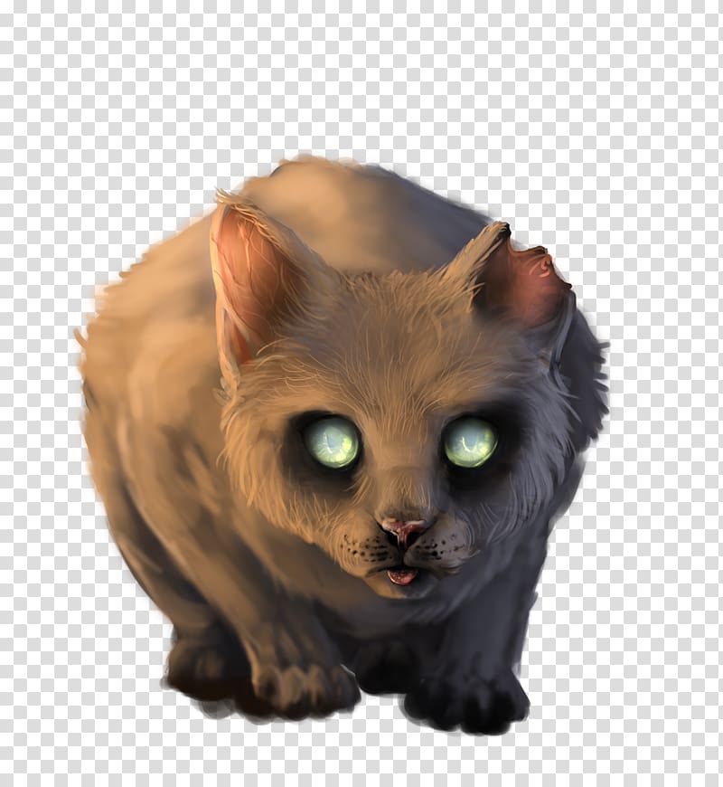 Kitten Whiskers Domestic short-haired cat Zombie, Bright-eyed cat transparent background PNG clipart