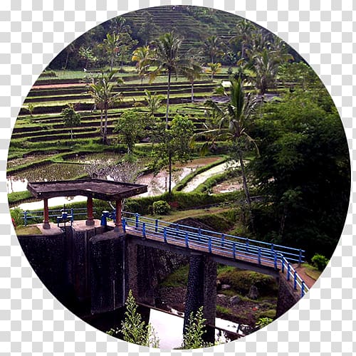 Cultural Landscape of Bali Province: the Subak System as a Manifestation of the Tri Hita Karana Philosophy Cultural Landscape of Bali Province: the Subak System as a Manifestation of the Tri Hita Karana Philosophy Culture, rice terraces philippines transparent background PNG clipart