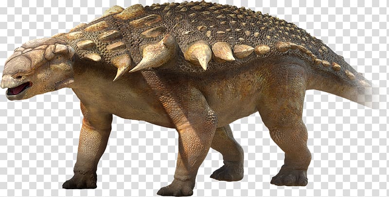Nodosaurus Ankylosaurus Sauropelta Edmontonia Tyrannosaurus, the film roll transparent background PNG clipart