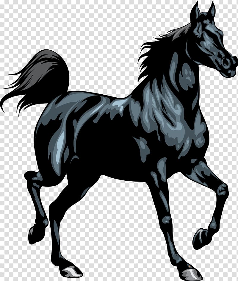 Friesian horse Stallion Black , horseshoe transparent background PNG clipart