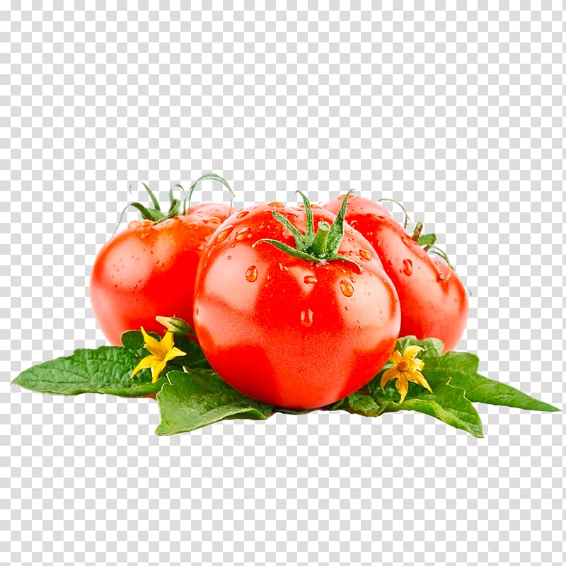 three red tomatoes on green leaves, Tomato juice Food , tomato transparent background PNG clipart