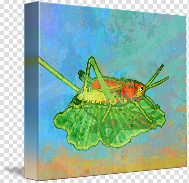 Butterfly Insect Painting Fine art, grasshopper transparent background PNG clipart