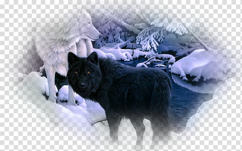 Siberian Husky Arctic Wolf Black Wolf Desktop Pack Others Transparent Background Png Clipart Hiclipart