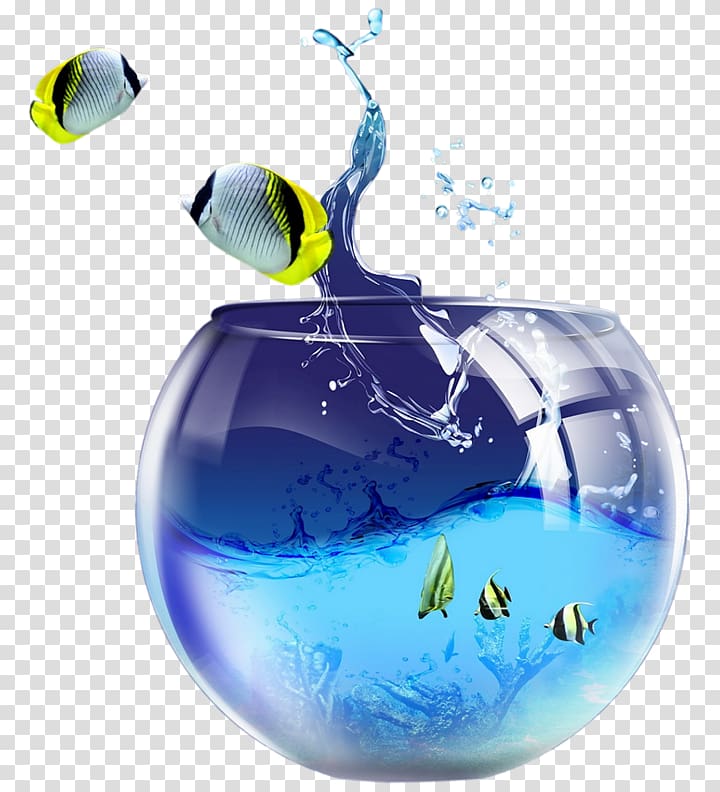 Desktop Macintosh Windows 7 Personal computer Microsoft Windows, fighting fish bowl transparent background PNG clipart