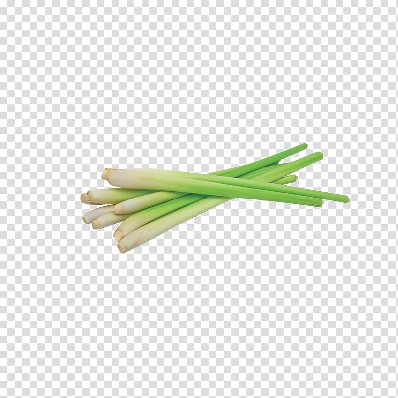 Allium fistulosum Thai cuisine Cymbopogon citratus Food Herb, oil transparent background PNG clipart