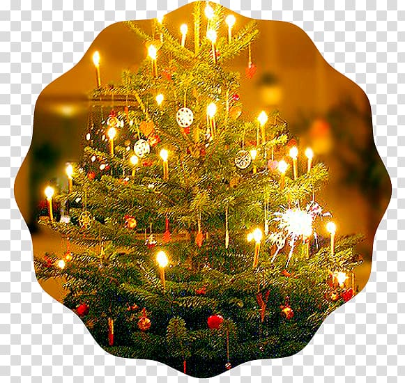 Christmas tree Christmas decoration Trees for Kids O Tannenbaum, Scott Mccall transparent background PNG clipart