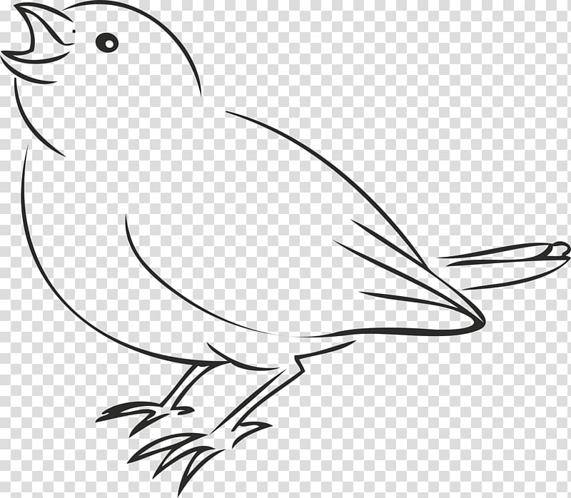 House Sparrow Bird Drawing , Birds line transparent background PNG clipart