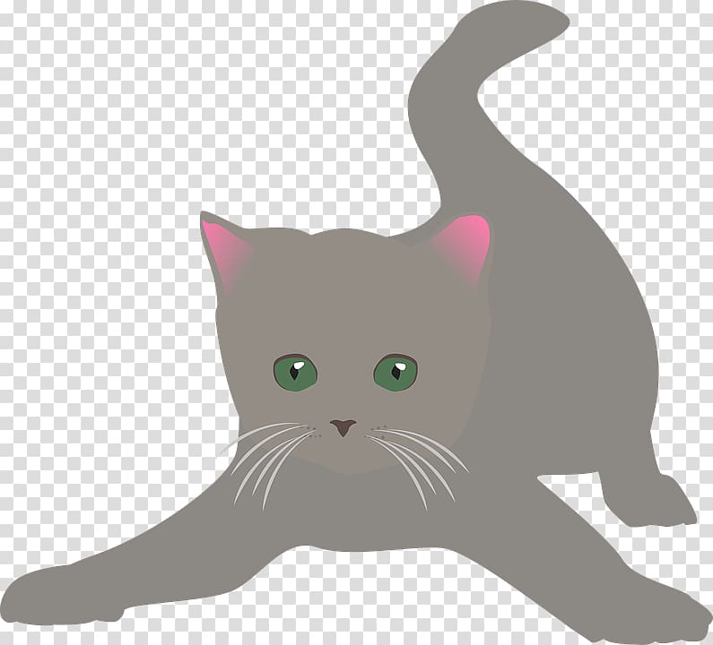 Kitten Whiskers Domestic short-haired cat British Shorthair , kitten transparent background PNG clipart