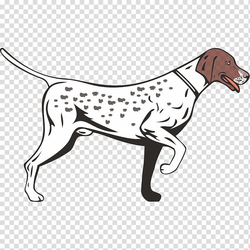 German Shorthaired Pointer German Longhaired Pointer Vizsla German Wirehaired Pointer, others transparent background PNG clipart