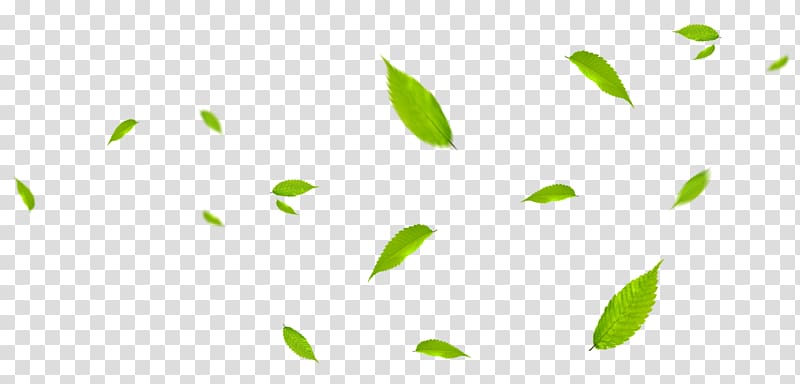 green leaves fly with the wind transparent background PNG clipart
