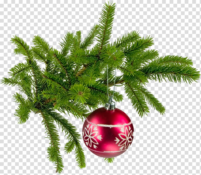 Santa Claus Christmas tree Fir .de, twigs transparent background PNG clipart