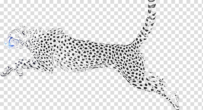 Snow leopard Jaguar Cheetah, leopard transparent background PNG clipart