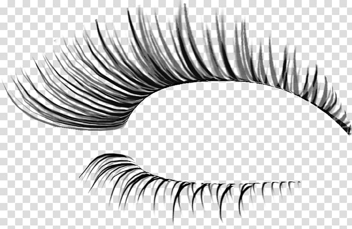 eyelash clip art