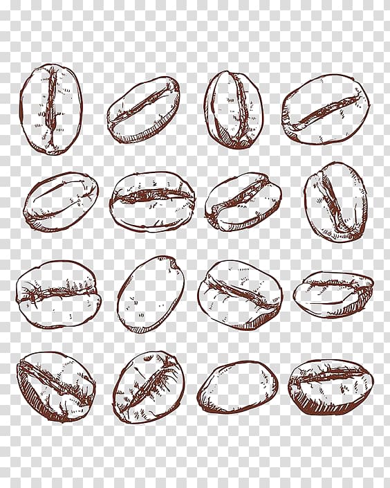 coffee beans printing transparent background PNG clipart