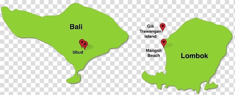 Green Leaf Map Line Tuberculosis, bali map transparent background PNG clipart