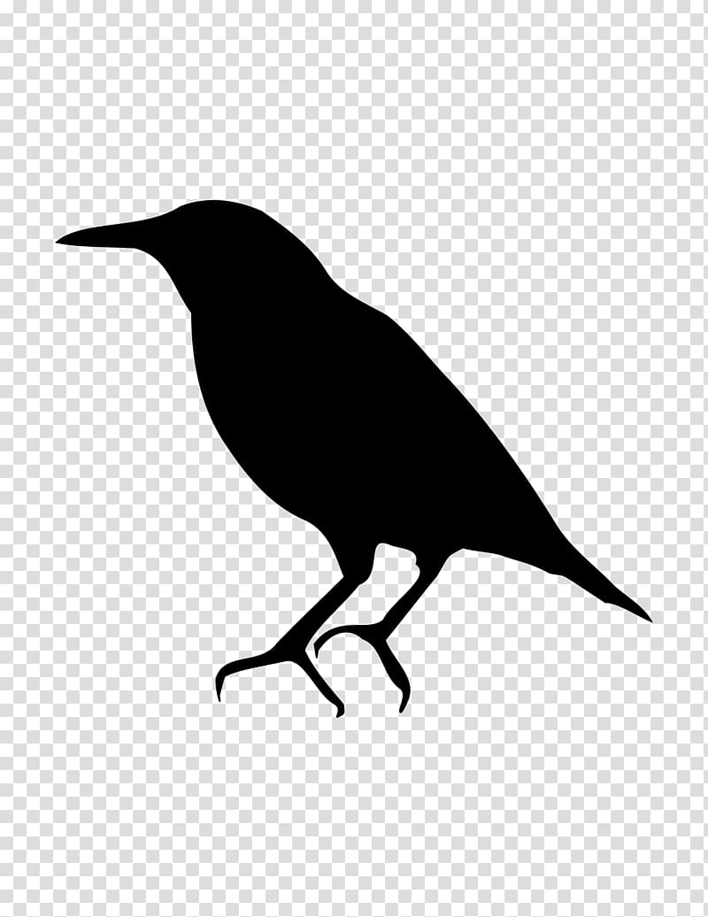 Bird Common starling American crow Silhouette, birds silhouette transparent background PNG clipart