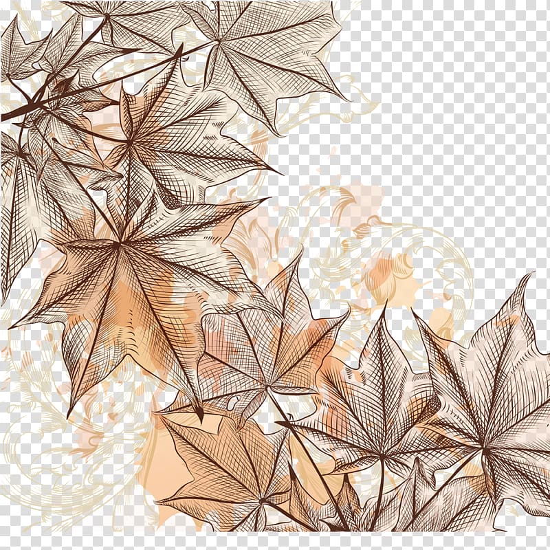 gray leafed illustration, Maple leaf Illustration, Hand-painted maple leaf transparent background PNG clipart