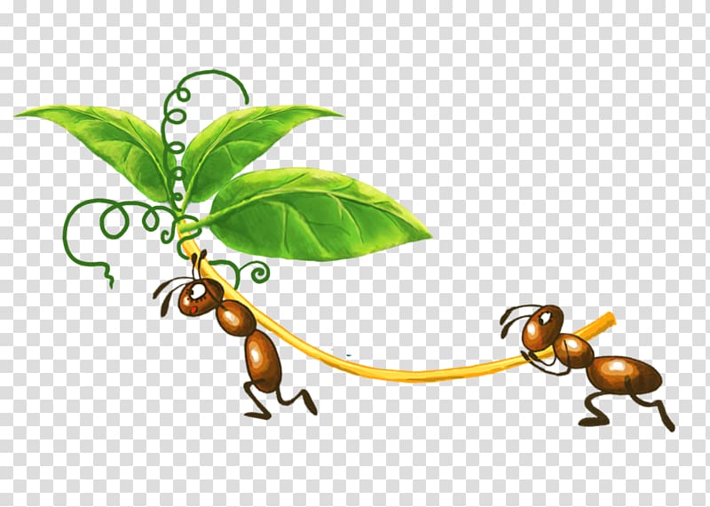 Ant colony Insect , Ants foliage transparent background PNG clipart