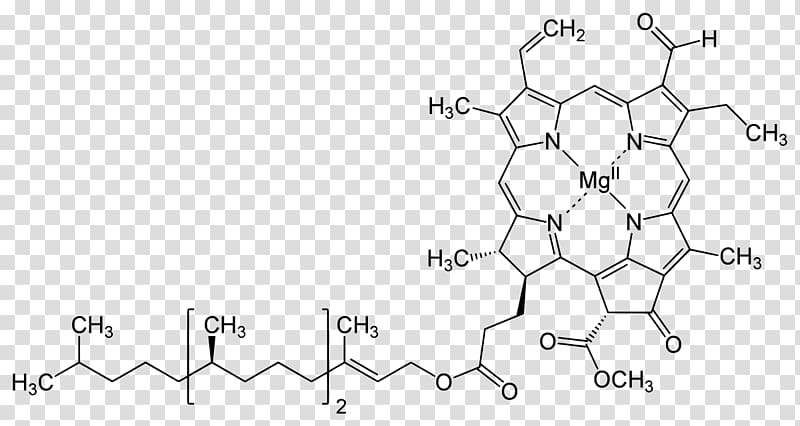 Chlorophyll a Chlorophyll b Structure synthesis, science transparent background PNG clipart