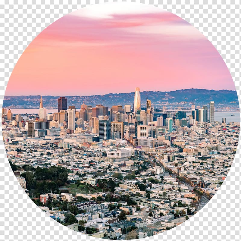 San Francisco Real Estate House 0 Organization, muir woods san francisco transparent background PNG clipart