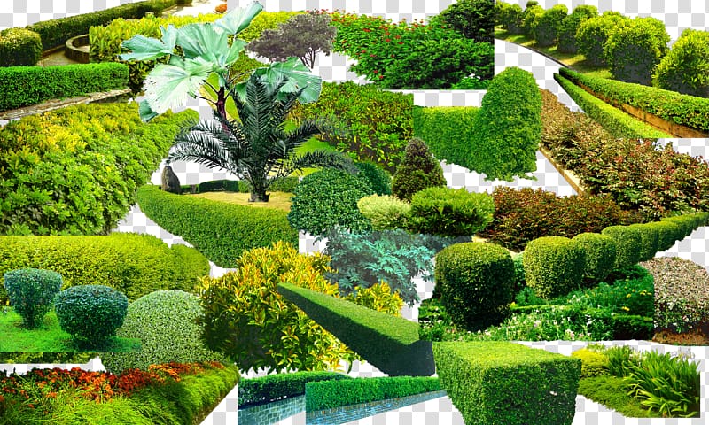 Landscape Greening Garden Vegetation, Green grass collection transparent background PNG clipart