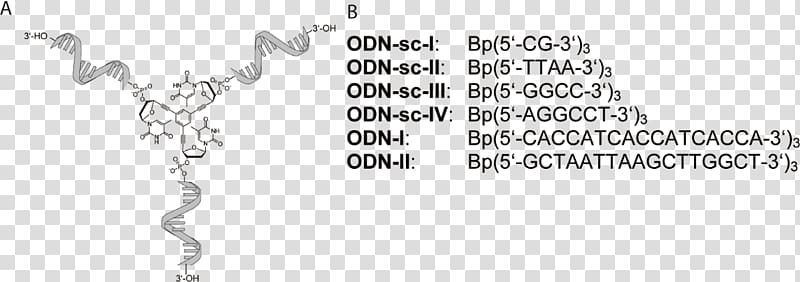 Electron paramagnetic resonance Spectrum Spectral line shape Angle, Nucleic Acid Sequence transparent background PNG clipart