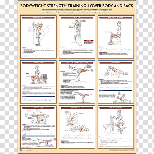 Bodyweight Strength Training Anatomy Bodyweight exercise, General Fitness Training transparent background PNG clipart