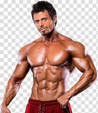 Bodybuilding transparent background PNG clipart