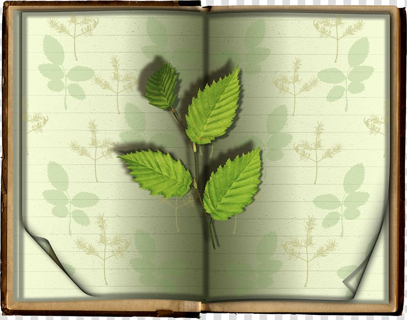 Leaf Book , Book leaves transparent background PNG clipart