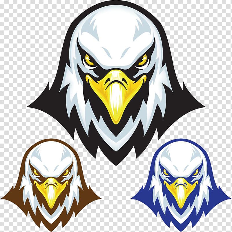 eagle head logo transparent background PNG clipart