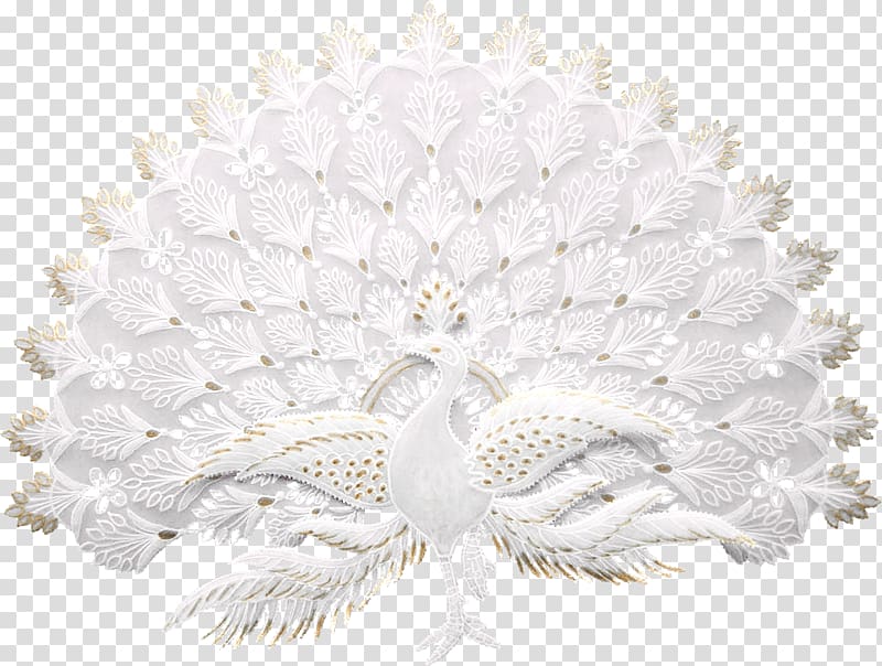white bird illustration, Asiatic peafowl Bird, White Peacock transparent background PNG clipart