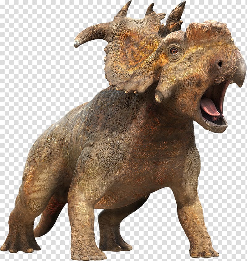 brown triceratops illustration, Color a Dinosaur Dinosaurs in Your Backyard, Dinosaur transparent background PNG clipart