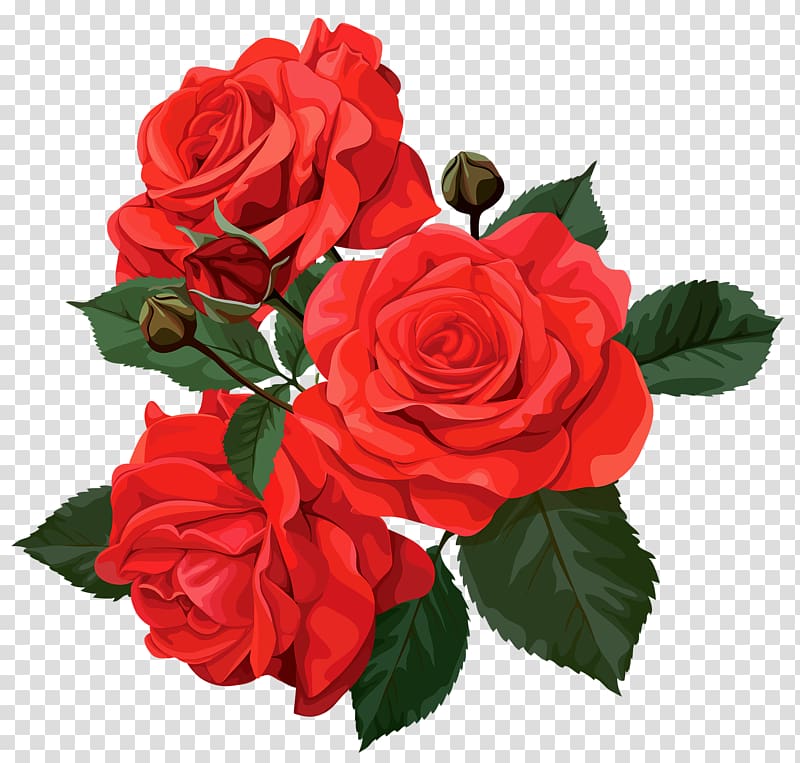 red roses with thorns transparent background PNG clipart