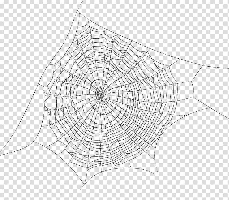 spider web spider web pattern cartoon transparent background PNG clipart
