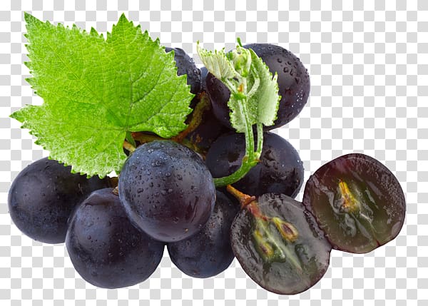 Common Grape Vine Grape seed oil Organic food, black grape seeds transparent background PNG clipart
