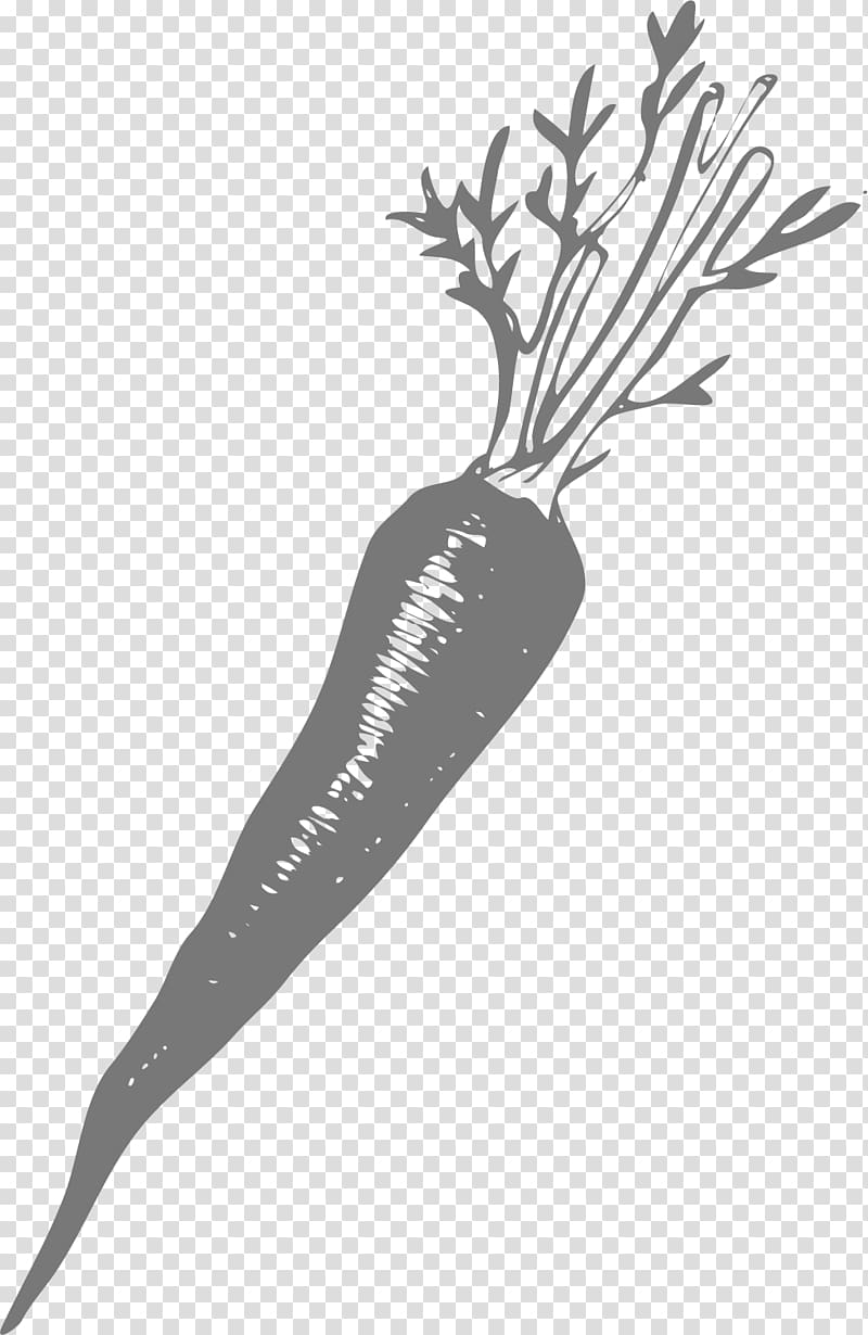 Carrot Euclidean , Carrot transparent background PNG clipart