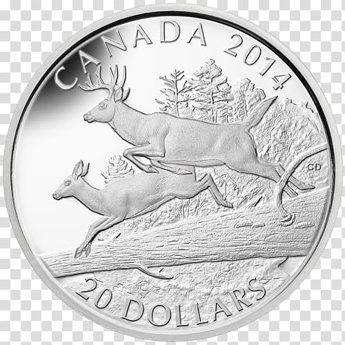 White-tailed deer Reindeer Coin Silver, Reindeer transparent background PNG clipart