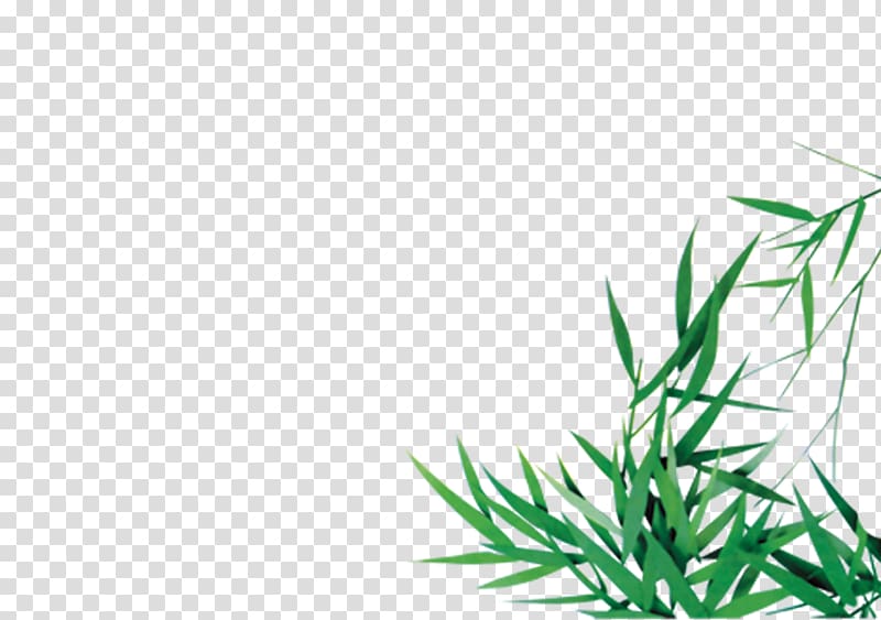Green Bamboo Bamboe, Green bamboo leaves transparent background PNG clipart