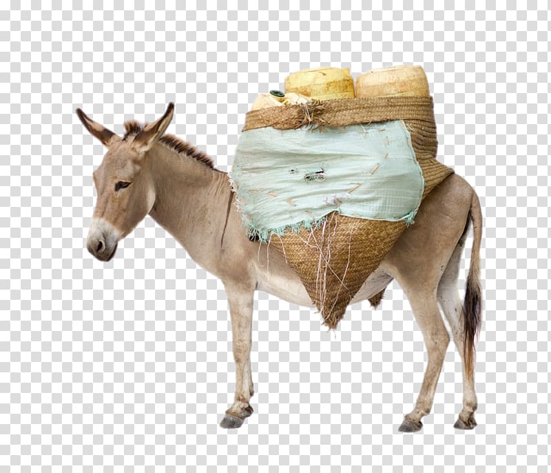 Mule Donkey Horses , Donkey laden with goods transparent background PNG clipart