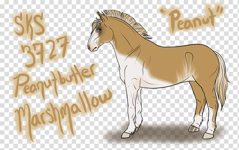 Foal Stallion Mustang Mare Pony, peanut butter splash transparent background PNG clipart