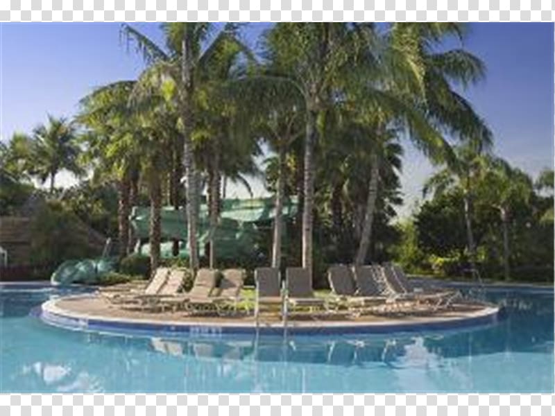 Hyatt Regency Coconut Point Resort and Spa Hyatt Regency Coconut Point Resort and Spa Hotel Swimming pool, hotel transparent background PNG clipart