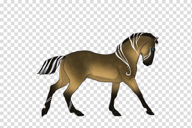 Stallion Mustang Pony Mare Colt, celestial bodies transparent background PNG clipart