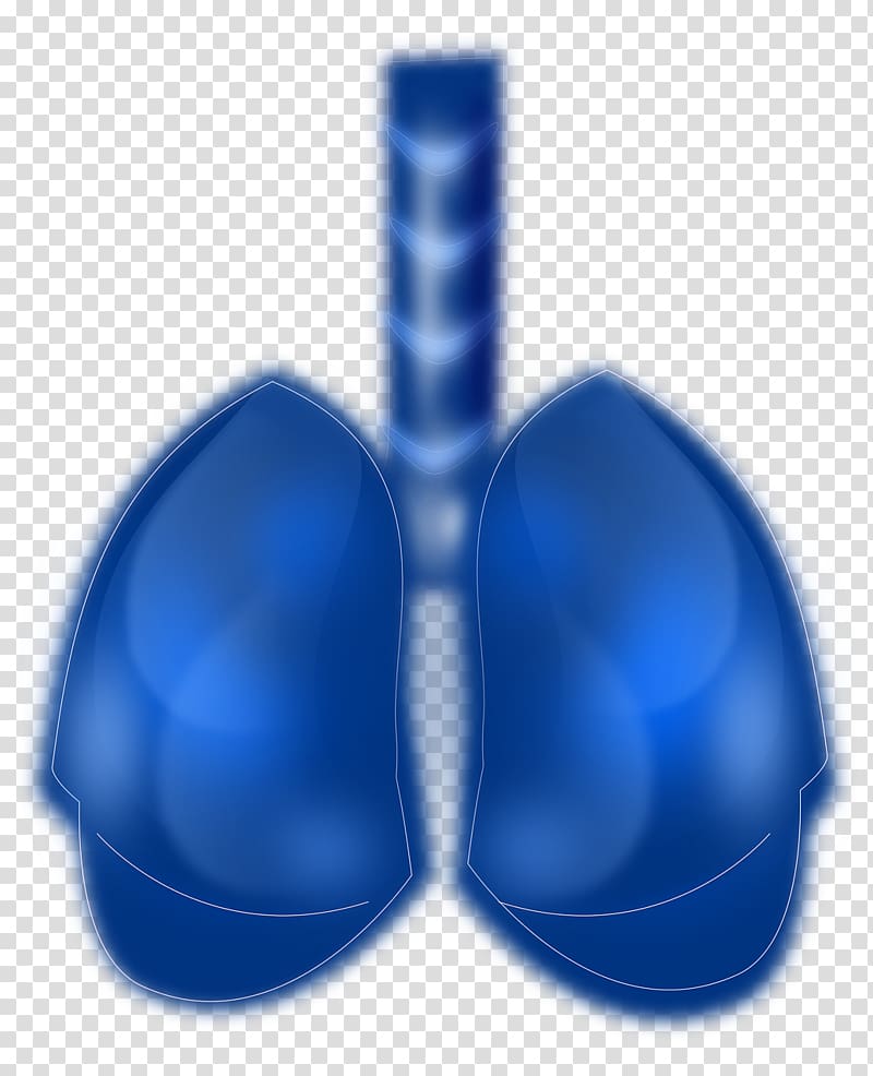 Lung cancer Respiratory system Human lung Blue, others transparent background PNG clipart