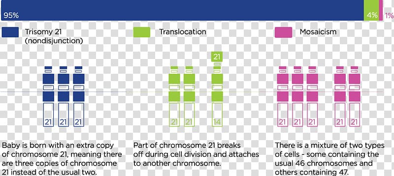 World Down Syndrome Day Chromosome 21 Usher syndrome, others transparent background PNG clipart
