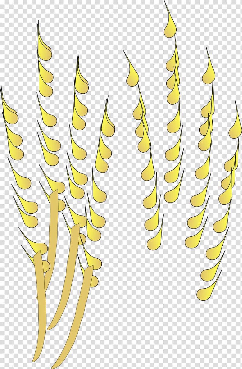 Wheat Cereal Pixabay , Golden wheat transparent background PNG clipart