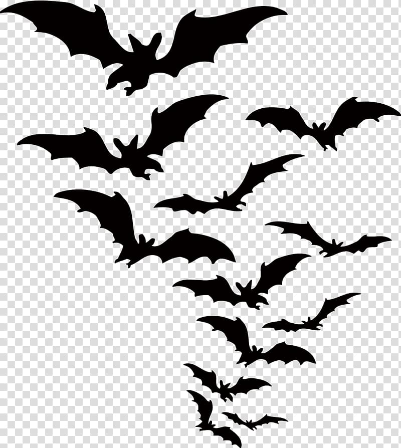 Free: Halloween Bat animation GIF, Halloween transparent background PNG  clipart 