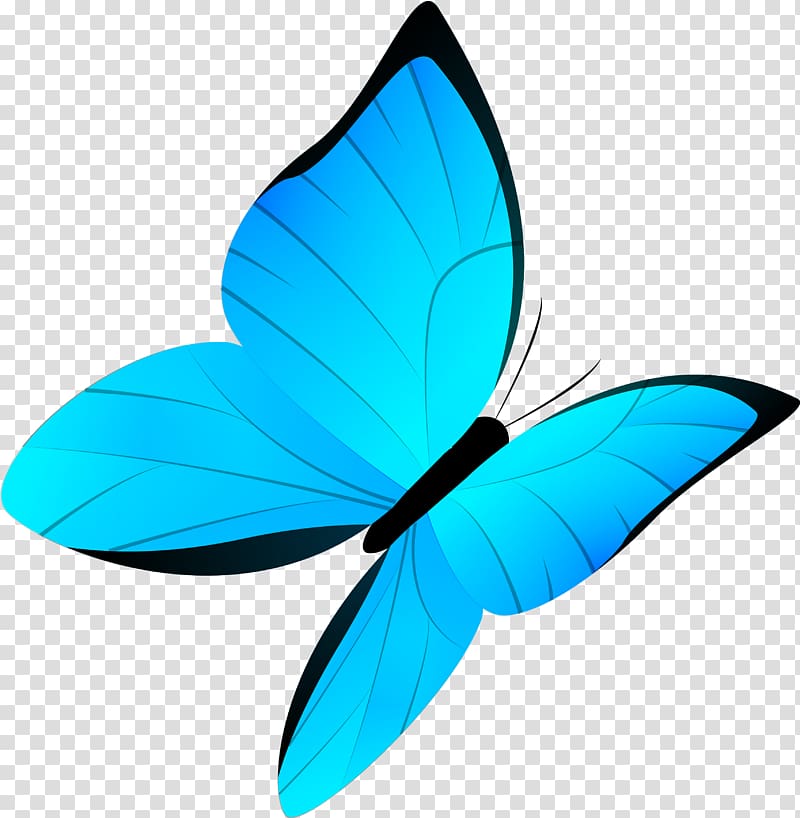 Stock Art Drawing of a Blue Morpho Butterfly - inkart